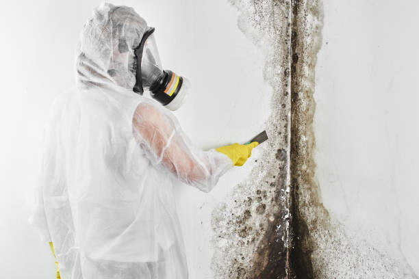 Best Crawl Space Mold Removal  in Madison, OH