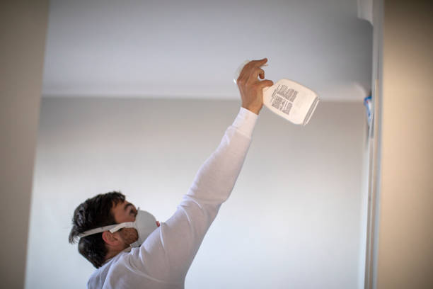 Best Local Mold Removal Service  in Madison, OH