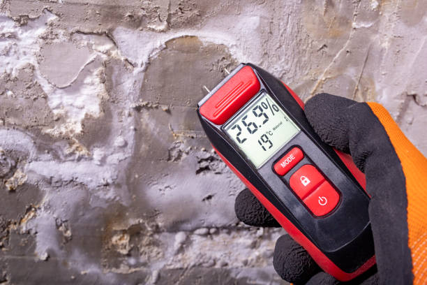 Best Mold Removal and Inspection  in Madison, OH