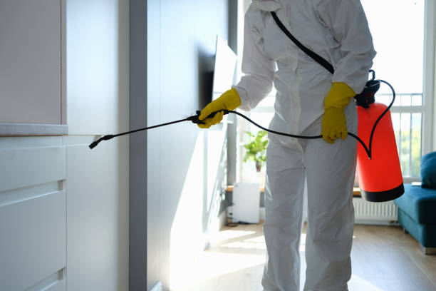 Home Mold Removal in Madison, OH