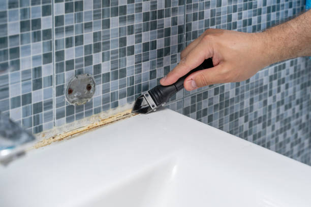 Best Commercial Mold Removal  in Madison, OH