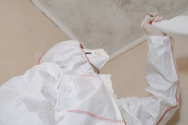 Trusted Madison, OH Mold Removal Experts